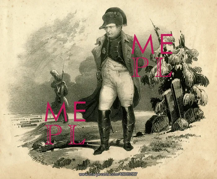  : Napoleon in Russia