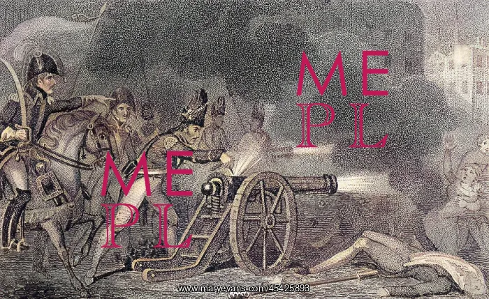 : NAPOLEON AND SECTIONS : NAPOLEON AND SECTIONS