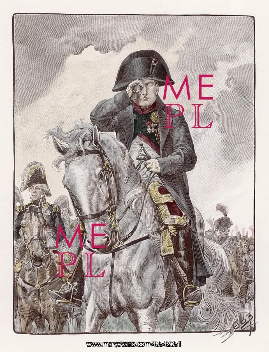 : Napoleon and Spyglass : Napoleon and Spyglass
