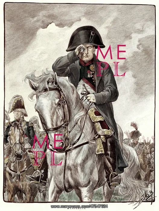 : Napoleon and Spyglass : Napoleon and Spyglass