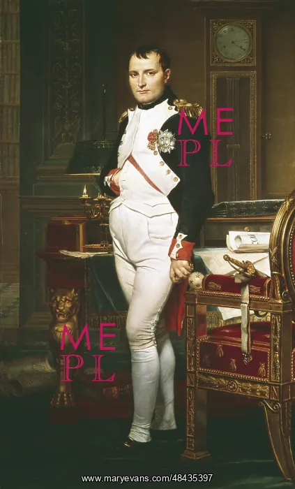 : Napoleon in his study at the Tuileries Palace : Napoleon in his study at the Tuileries Palace