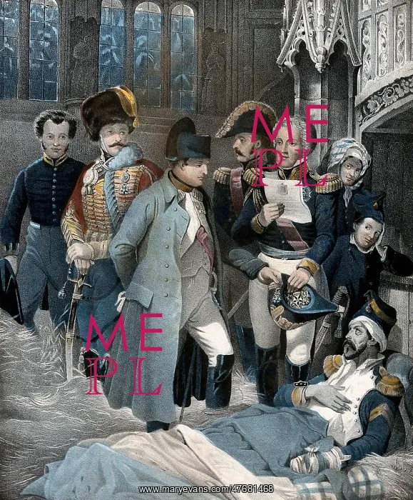 : Napoleon Visits the Wounded After Battle of Austerlitz, 1805 : Napoleon Visits the Wounded After Battle of Austerlitz, 1805