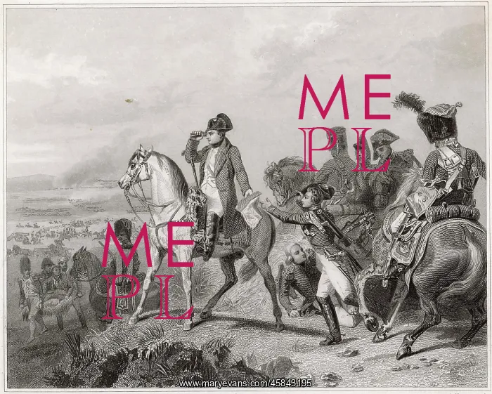 : NAPOLEON AT WAGRAM : NAPOLEON AT WAGRAM