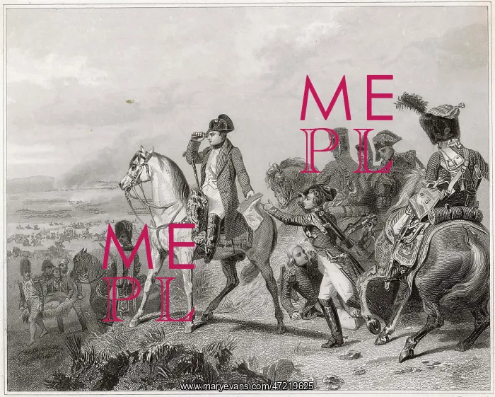 : NAPOLEON AT WAGRAM : NAPOLEON AT WAGRAM