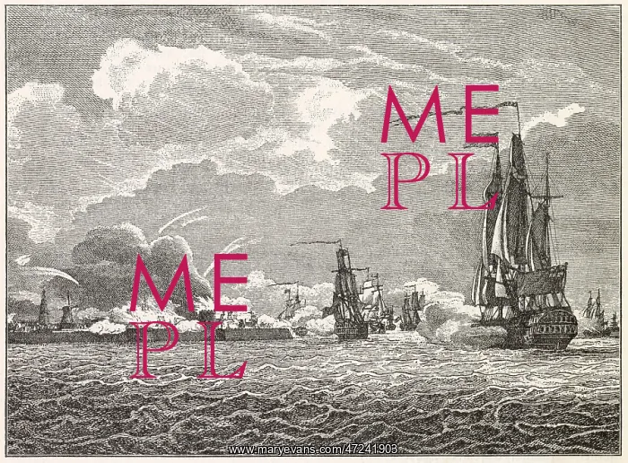 : NAPOLEONIC / 1809 / FLUSHING : NAPOLEONIC / 1809 / FLUSHING