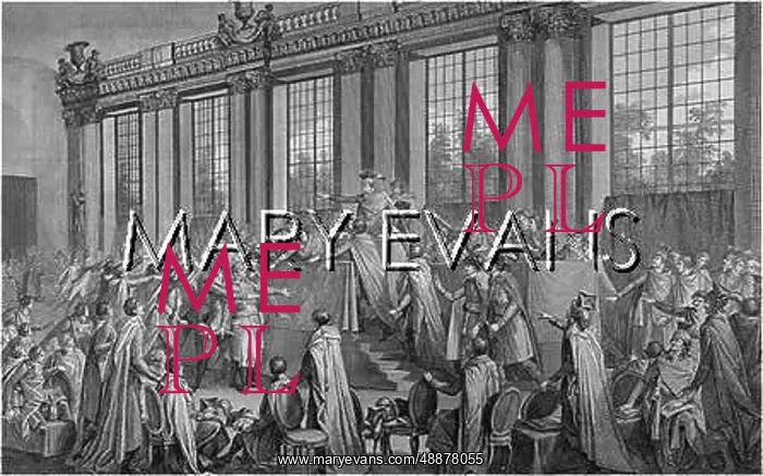 : NAPOLEON'S COUP D'ETAT : NAPOLEON'S COUP D'ETAT