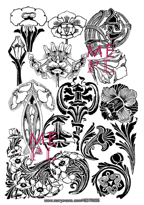 : Narcissi. Studies in plant form with suggestions for their application to design : Narcissi. Studies in plant form with suggestions for their application to design