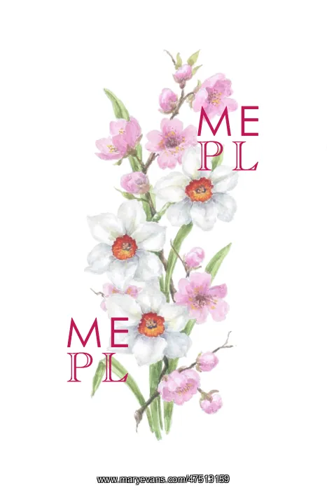  : Narcissi and Almond Blossom
