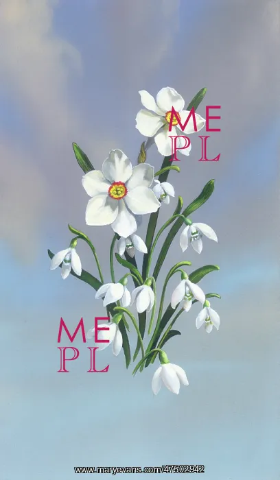  : Narcissi and snowdrops against sky