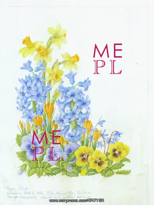  : Narcissus, blue Hyacinths, Scillas, orange Crocuses