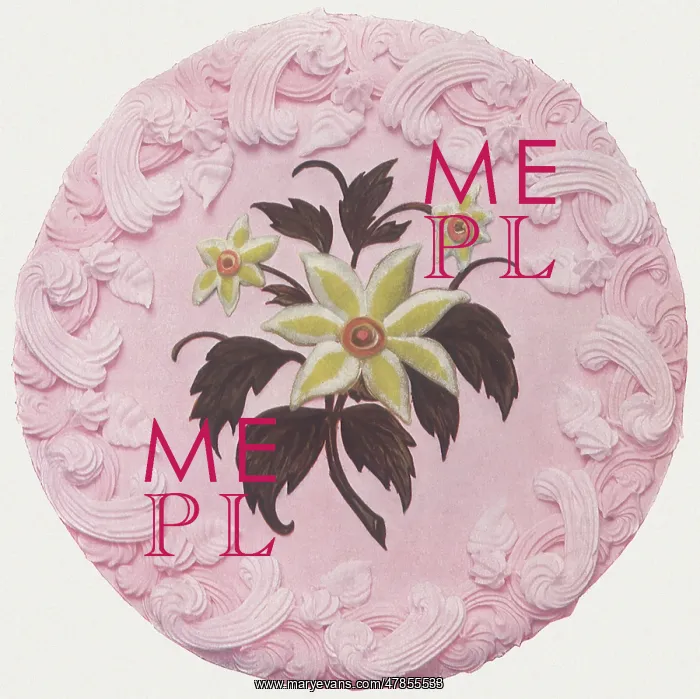 : Narcissus Cake : Narcissus Cake