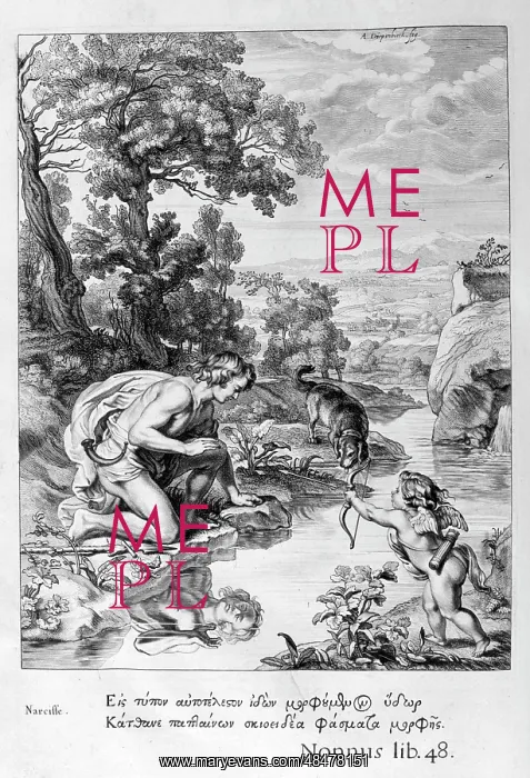 : Narcissus. Engraving from Tableaux du temple : Narcissus. Engraving from Tableaux du temple