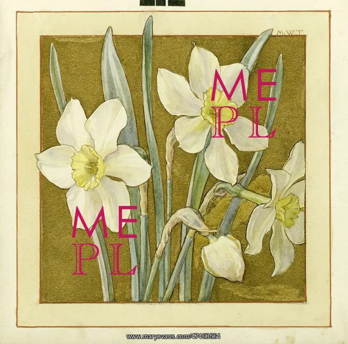  : Narcissus on a gold background