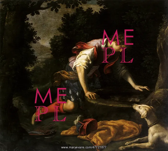  : Narcissus at the Spring