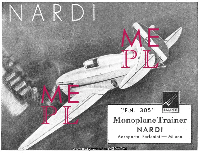 : Nardi FN 305 Monoplane Trainer