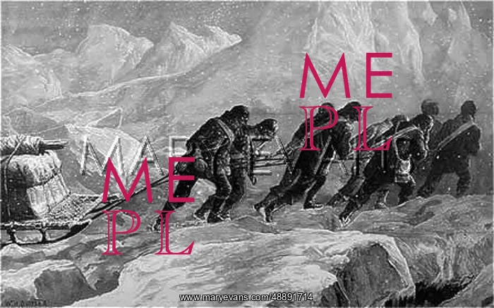 : NARES / SLEDGE PARTY : NARES / SLEDGE PARTY
