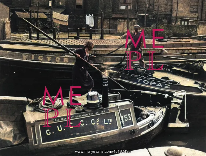 : NARROW BOATS IN THE DOCK : NARROW BOATS IN THE DOCK