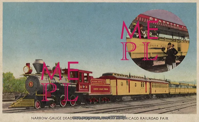 : Narrow-Gauge Deadwood Centrail Train : Narrow-Gauge Deadwood Centrail Train