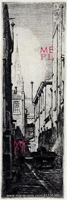 : The Narrow Lane : The Narrow Lane