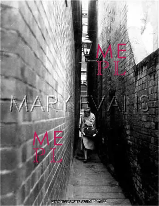 : THE NARROWEST STREET : THE NARROWEST STREET