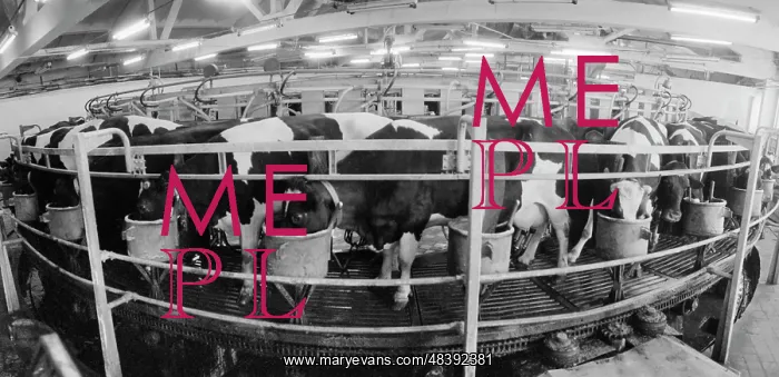 : Narsky dairy facility : Narsky dairy facility