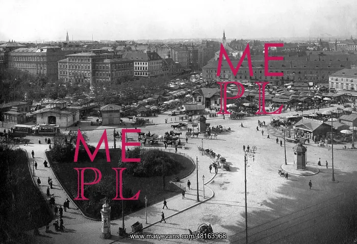 : The Naschmarkt in Vienna, 1908 : The Naschmarkt in Vienna, 1908