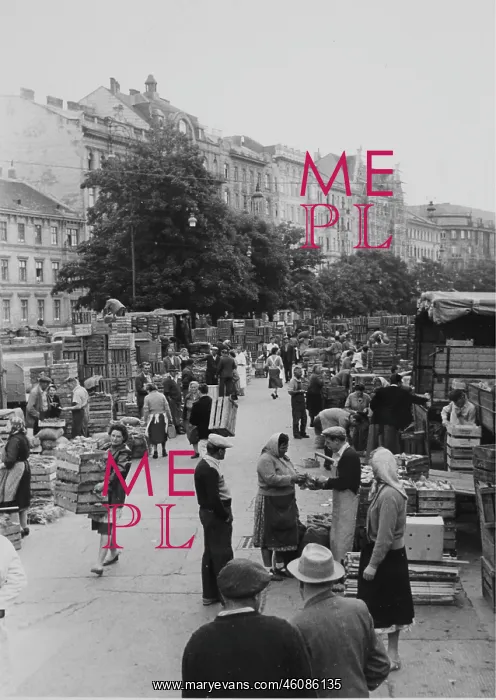 : The Naschmarkt on the Wien River. About 1960 : The Naschmarkt on the Wien River. About 1960