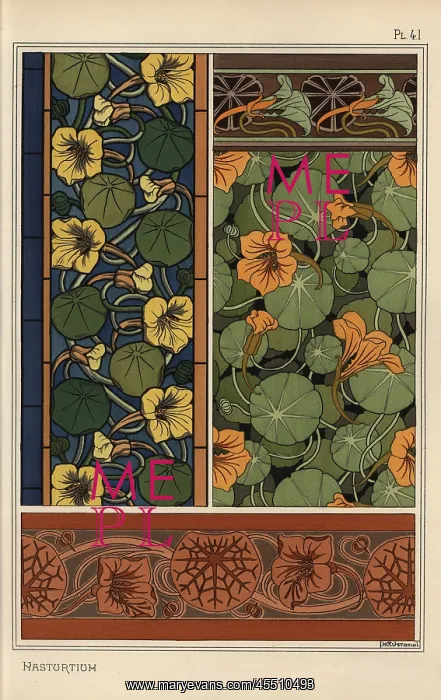 : Nasturtium in art nouveau patterns : Nasturtium in art nouveau patterns