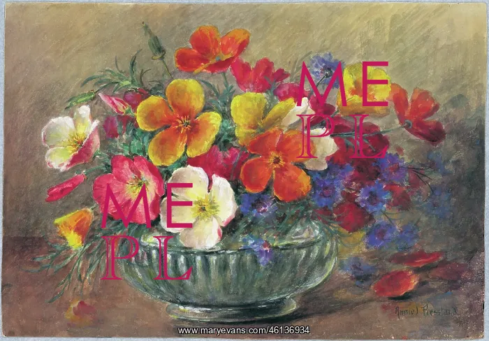 : Nasturtium and Cornflowers : Nasturtium and Cornflowers