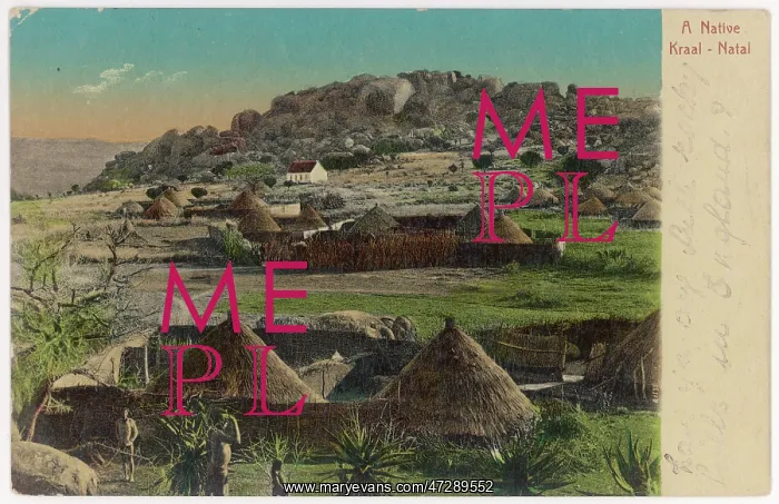 : A NATAL KRAAL : A NATAL KRAAL