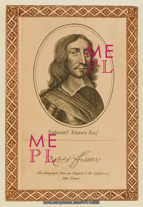 : NATHANIEL FIENNES : NATHANIEL FIENNES