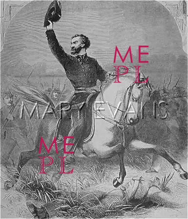 : NATHANIEL LYON : NATHANIEL LYON