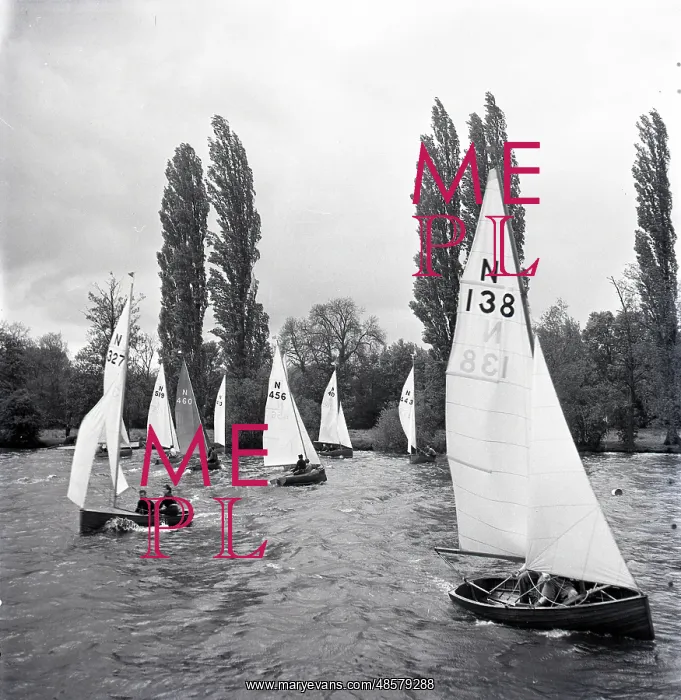 : National 12 sailing dinghies on a Devon river : National 12 sailing dinghies on a Devon river