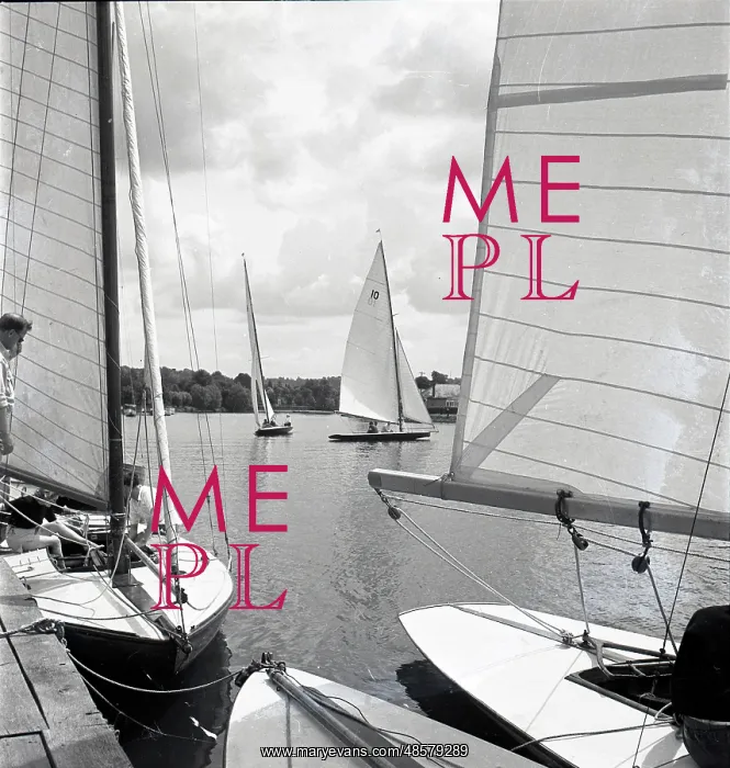 : National 12 sailing dinghies on a Devon river : National 12 sailing dinghies on a Devon river