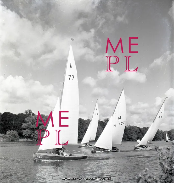 : National 12 sailing dinghies on a Devon river : National 12 sailing dinghies on a Devon river