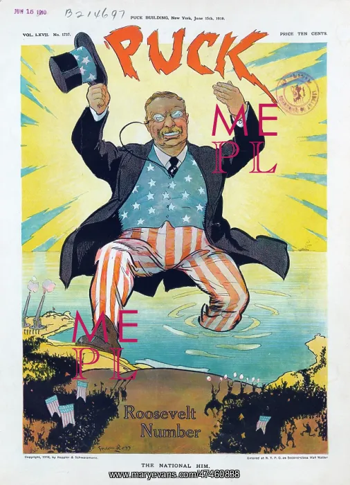 : The national him : The national him