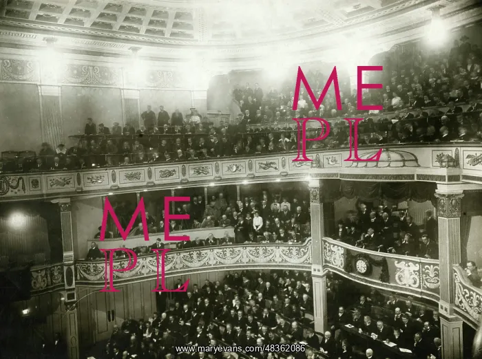 : National Assembly, 1919 : National Assembly, 1919