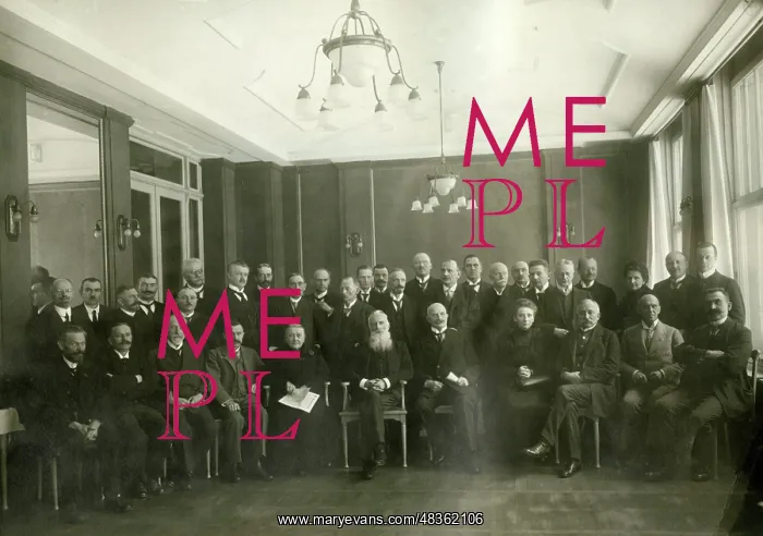 : National Assembly, 1919 : National Assembly, 1919