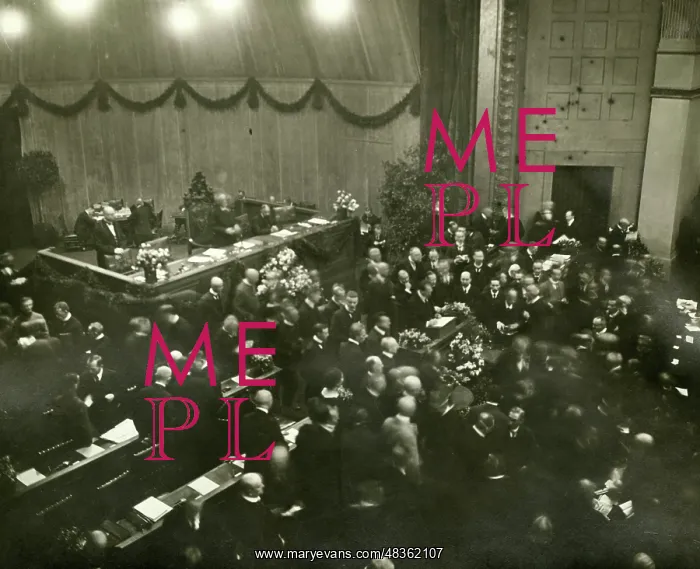  : National Assembly, 1919