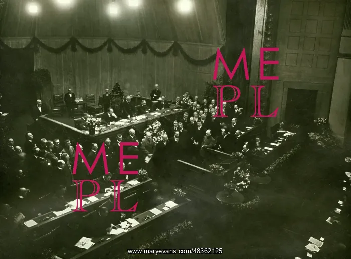 : National Assembly, 1919 : National Assembly, 1919
