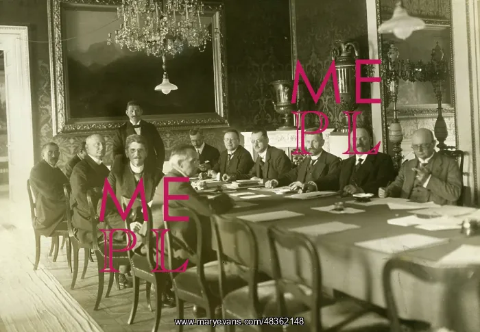 : National Assembly, 1919 : National Assembly, 1919