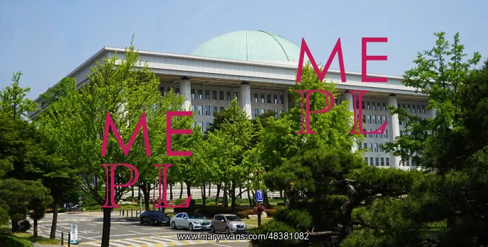 : The National Assembly Proceeding Hall (Gukhoe-uisadang) : The National Assembly Proceeding Hall (Gukhoe-uisadang)
