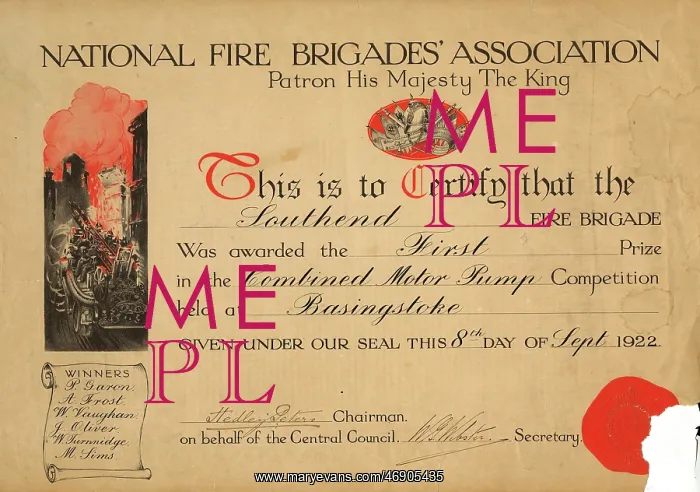 : National Fire Brigades Association certificate : National Fire Brigades Association certificate