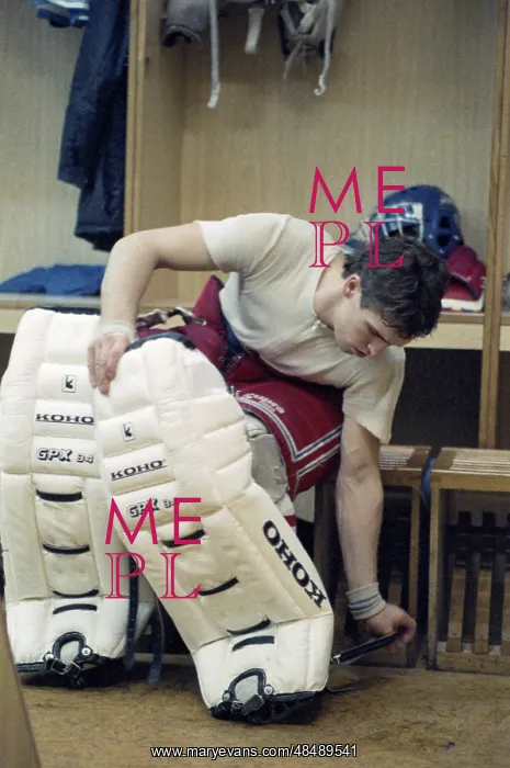 : National Hockey League : National Hockey League