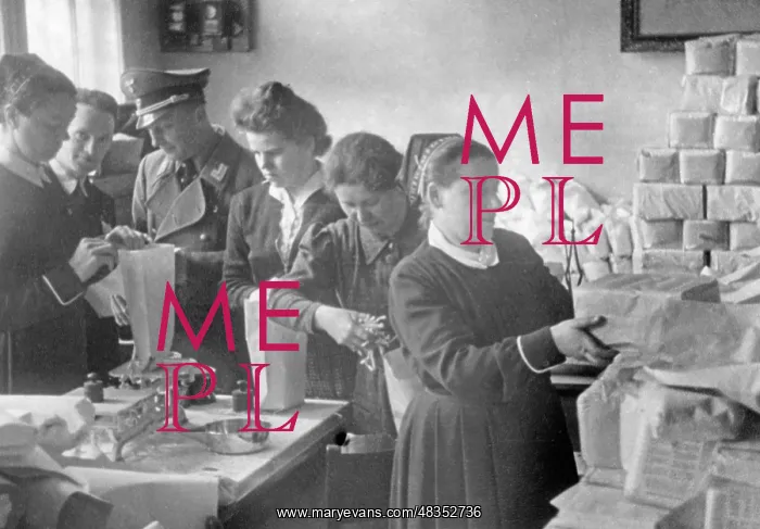 : National Socialist People's Welfare in the : National Socialist People's Welfare in the