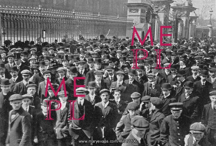 : A Nation's Apprehension: The Crowds Outside Buckingham Palac : A Nation's Apprehension: The Crowds Outside Buckingham Palac