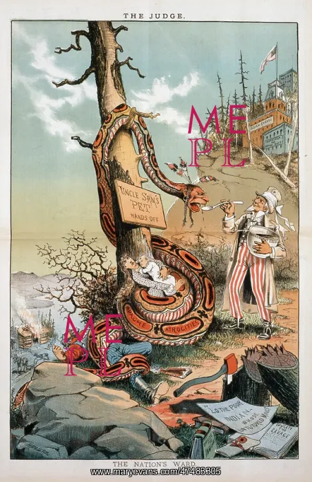 : The nation's ward : The nation's ward