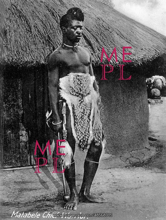 : Native African Matabele chief warrior : Native African Matabele chief warrior