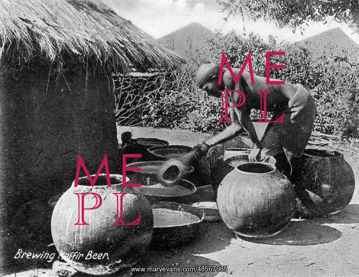 : Native African Matabele man brewing beer : Native African Matabele man brewing beer