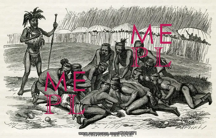 : Native Africans bull sacrifice : Native Africans bull sacrifice